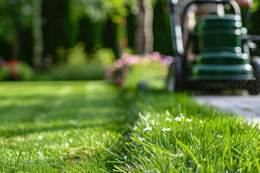 lawn cut machine