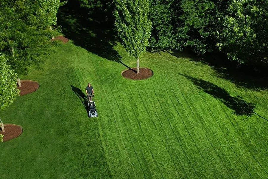 best compact electric mower